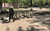 изображение_viber_2025-06-04_21-17-35-570