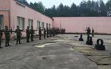 изображение_viber_2025-06-04_06-34-23-405