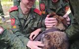 изображение_viber_2026-05-28_16-51-57-417