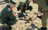 изображение_viber_2026-06-02_10-19-18-877